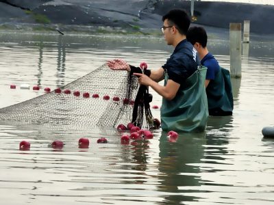 水產養殖系